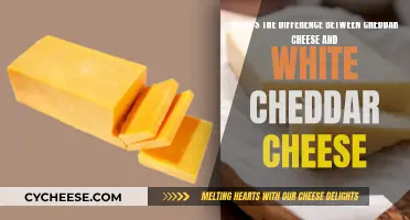 Cheddar vs. White Cheddar: Unraveling the Flavor and Texture Differences