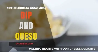 Cheese Dip vs. Queso: Unraveling the Melty, Cheesy Differences