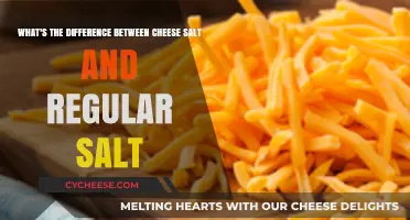 Cheese Salt vs. Regular Salt: Key Differences Explained