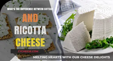Cottage vs. Ricotta: Unraveling the Cheesy Differences and Best Uses