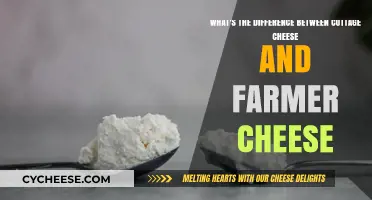 Cottage Cheese vs. Farmer Cheese: Unraveling the Dairy Differences