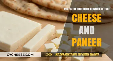 Cottage Cheese vs. Paneer: Unraveling the Key Differences and Uses
