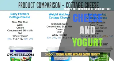 Cottage Cheese vs. Yogurt: Key Differences in Texture, Taste, and Nutrition