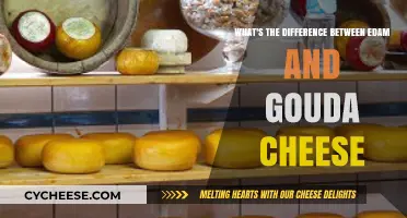 Edam vs. Gouda: Unraveling the Distinctive Traits of These Dutch Cheeses