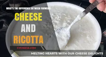Farmers Cheese vs. Ricotta: Unraveling the Differences in Texture and Use