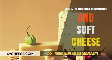 Hard vs. Soft Cheese: Understanding Texture, Flavor, and Aging Differences