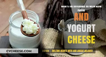 Kefir Cheese vs. Yogurt Cheese: Key Differences and Benefits Explained