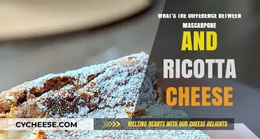 Mascarpone vs. Ricotta: Unraveling the Creamy Cheese Differences