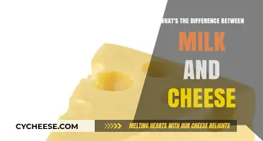Milk vs. Cheese: Uncovering the Key Differences and Uses