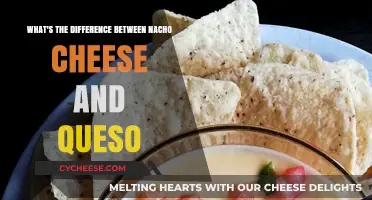 Nacho Cheese vs. Queso: Unraveling the Melty, Cheesy Differences