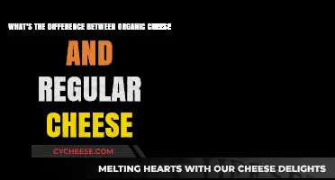 Organic vs. Regular Cheese: Key Differences and Health Benefits Explained