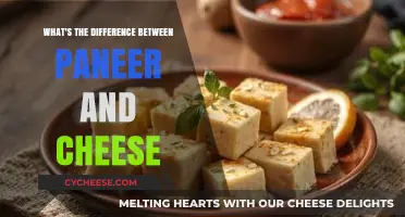 Paneer vs. Cheese: Unraveling the Distinct Differences and Uses