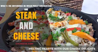 Philly Cheesesteak vs. Steak and Cheese: Unraveling the Tasty Differences