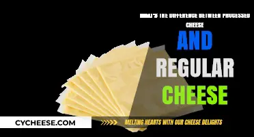Processed Cheese vs. Regular Cheese: Understanding the Key Differences