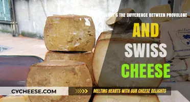 Provolone vs Swiss Cheese: Taste and Texture Compared
