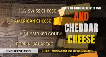 Swiss vs. Cheddar: Unraveling the Cheesy Differences