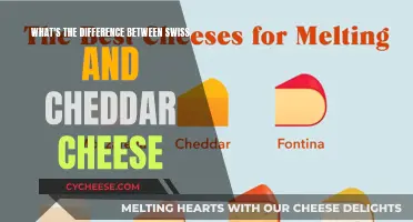 Swiss vs. Cheddar: Unraveling the Cheesy Differences