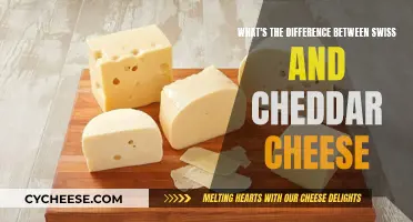 Swiss vs Cheddar: A Tale of Two Cheeses