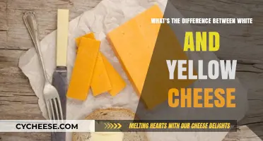 White vs. Yellow Cheese: Unraveling the Color and Flavor Differences