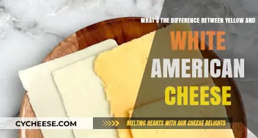 Yellow vs. White American Cheese: Unraveling the Flavor and Texture Differences