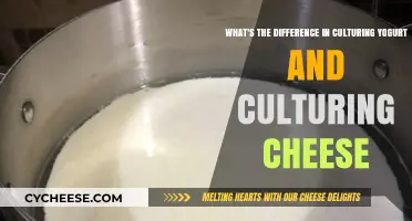 Yogurt vs. Cheese: Culturing Techniques and Key Differences Explained