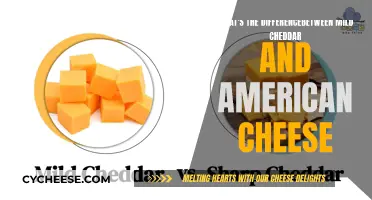 Mild Cheddar vs. American Cheese: Unraveling the Flavor and Texture Differences