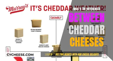 Exploring Cheddar's Diversity: From Mild to Sharp, the Ultimate Guide