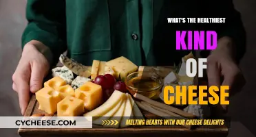 Nutritionist's Guide: Unveiling the Healthiest Cheese Choices