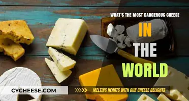 Deadly Delicacy: Unveiling the World's Most Hazardous Cheese