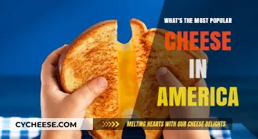 America's Favorite Cheese: Unveiling the Top Pick in Every State