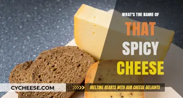 Discover the Fiery Flavor: What's the Name of That Spicy Cheese?