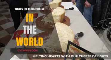 Unveiling the Ancient Origins of the World's Oldest Cheese
