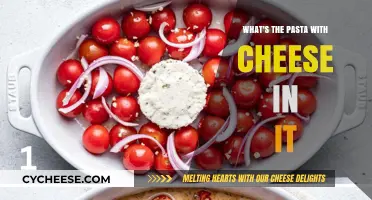 Discover the Classic Comfort: Pasta with Cheese Recipes Explained