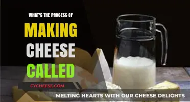 The Art of Cheese Making: Unveiling the Traditional Process