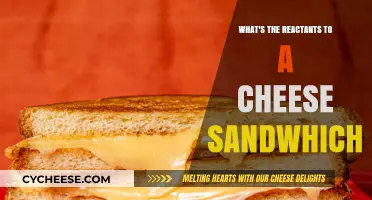 Unveiling the Key Ingredients in a Classic Cheese Sandwich Recipe