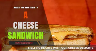 Ingredients Unveiled: What Makes a Perfect Cheese Sandwich React?
