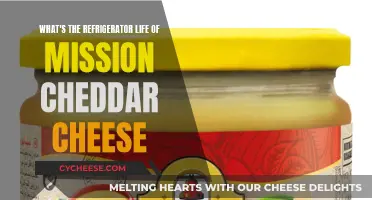 The Cheddar's Chilly Journey: Unveiling the Fridge's Secrets