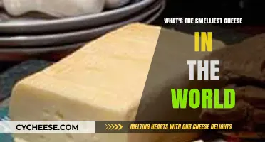 Unveiling the World's Smelliest Cheese: A Pungent Adventure Awaits