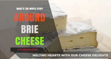 Unveiling the Mystery: What's the White Stuff Around Brie Cheese?