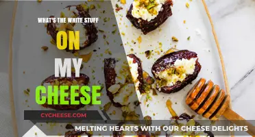 Unveiling the Mystery: What's the White Stuff on My Cheese?