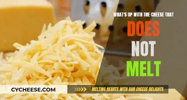 The Mystery of Non-Melting Cheese