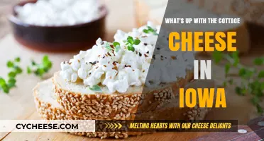 Iowa's Cottage Cheese Craze: Uncovering the State's Dairy Delight