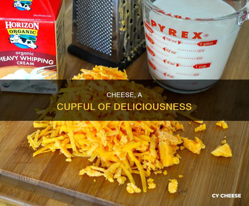 when a recipe calls for 1 cup of cheese