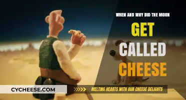 Moon's Cheesy Nickname: A Historical Perspective