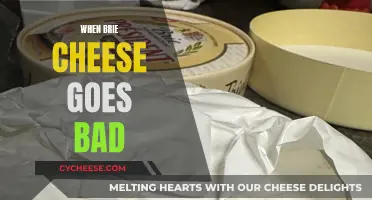 Brie Cheese Gone Bad: What You Need to Know