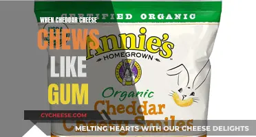 Cheese's Chewy Conundrum: When Cheddar Bites Back Like Gum