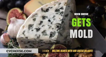 Cheese and Mold: What You Need to Know