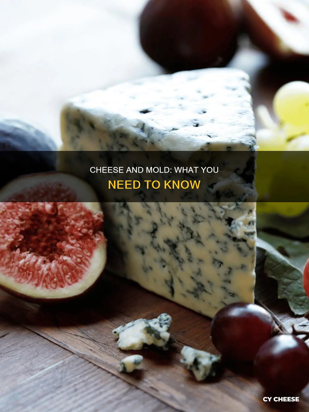 when cheese gets mold