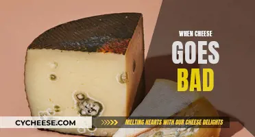 Cheese Gone Bad: What You Need to Know