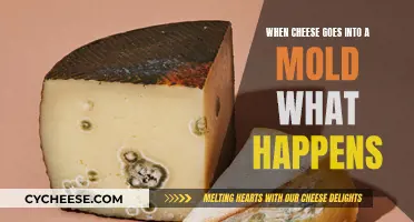 Moldy Cheese: What's Happening and Is It Safe?